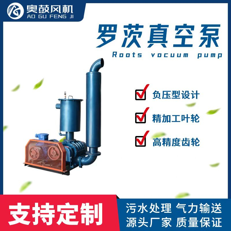 ZHSR-V系列負壓羅茨風(fēng)機